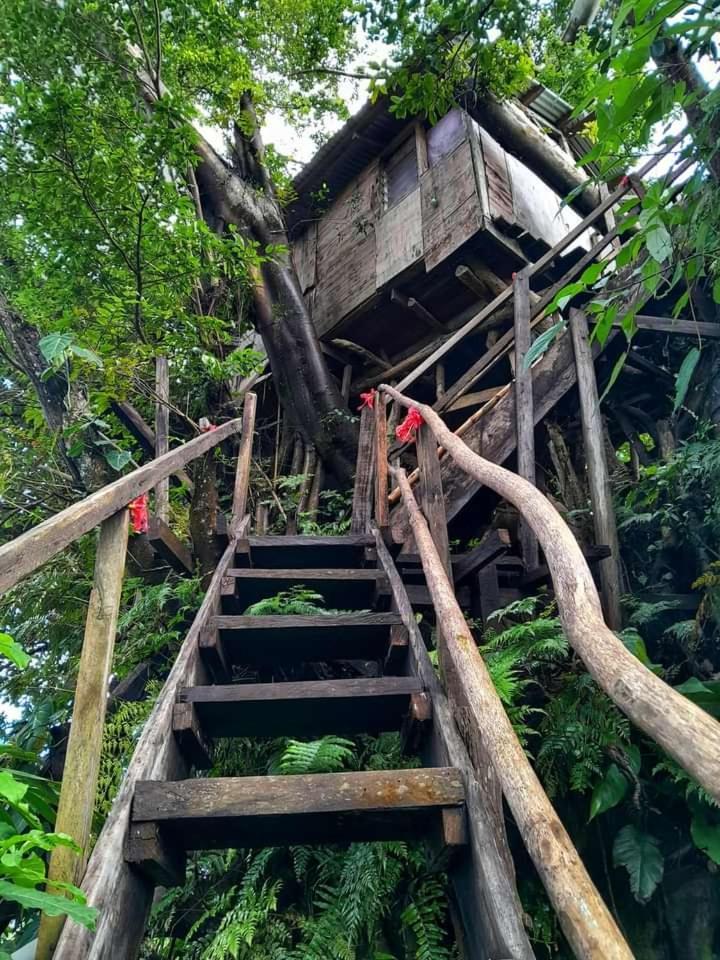 Castle Tree House And Bungalow White Sands Экстерьер фото
