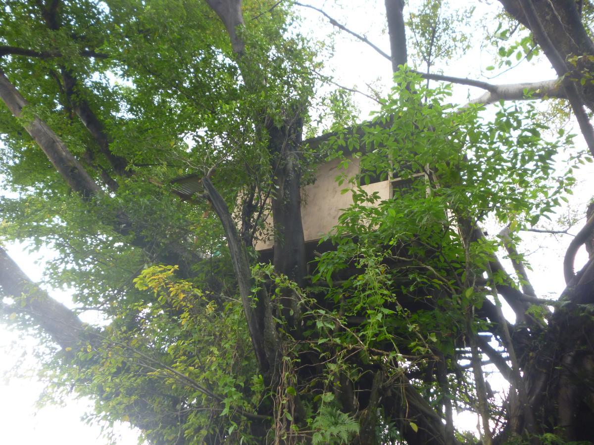 Castle Tree House And Bungalow White Sands Экстерьер фото
