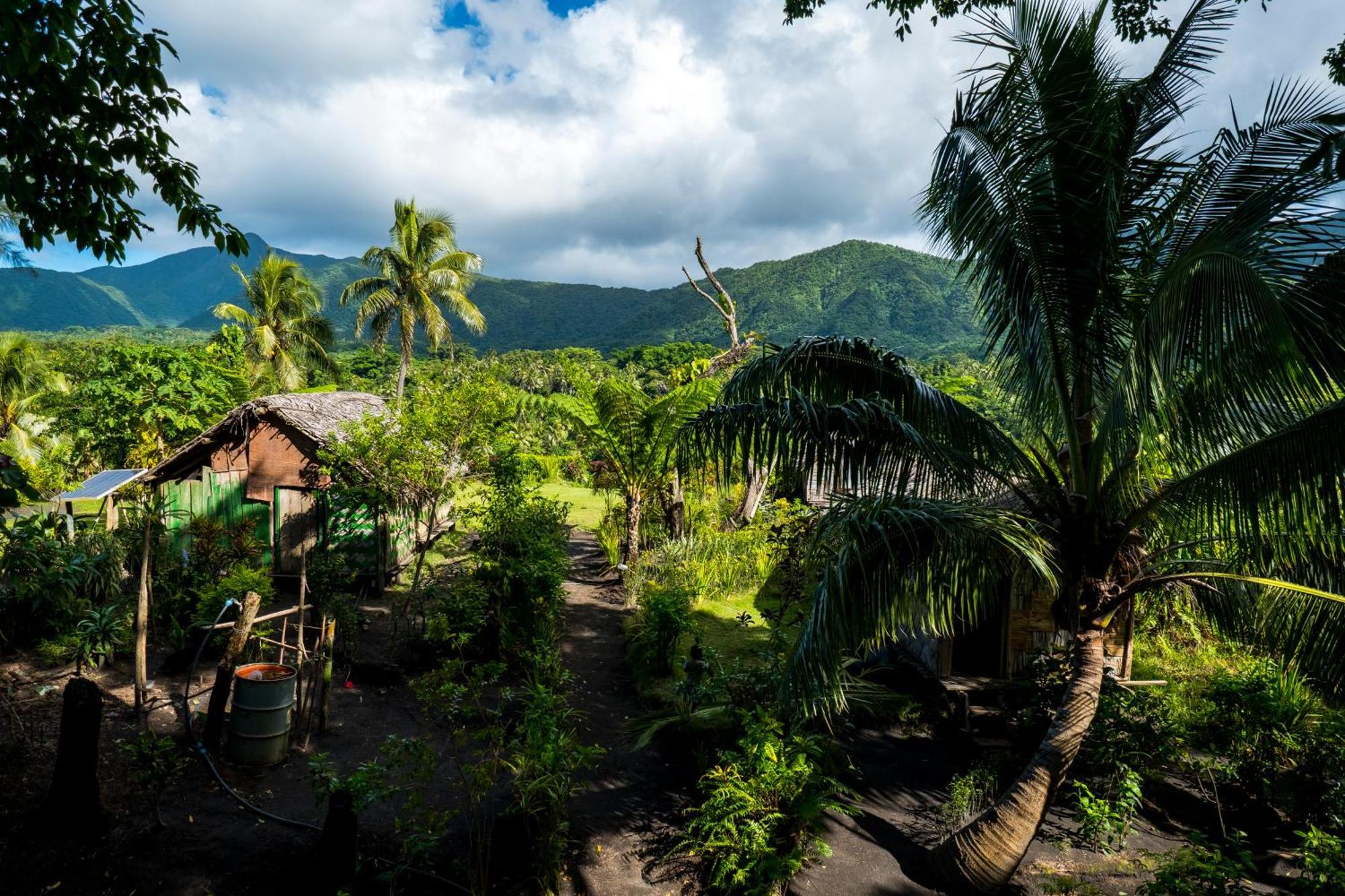 Castle Tree House And Bungalow White Sands Экстерьер фото