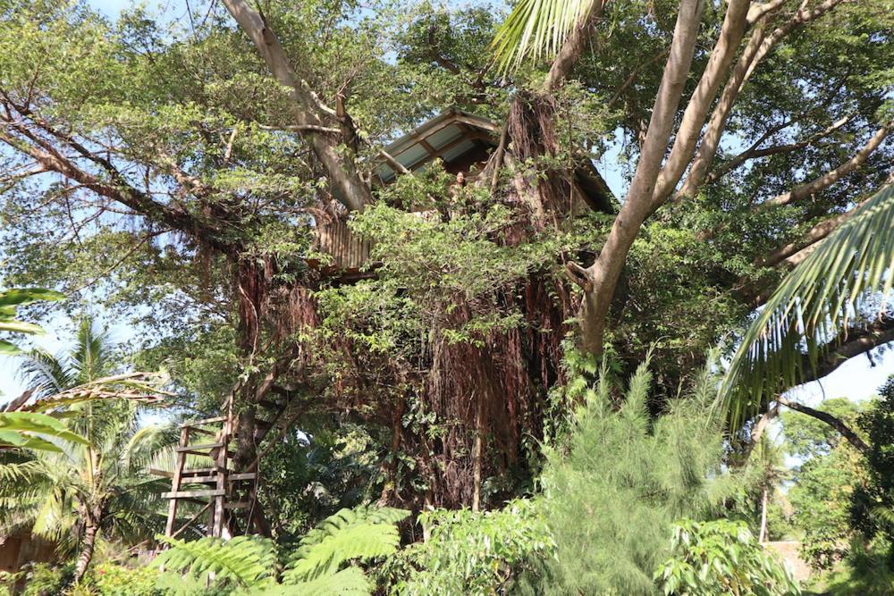 Castle Tree House And Bungalow White Sands Экстерьер фото